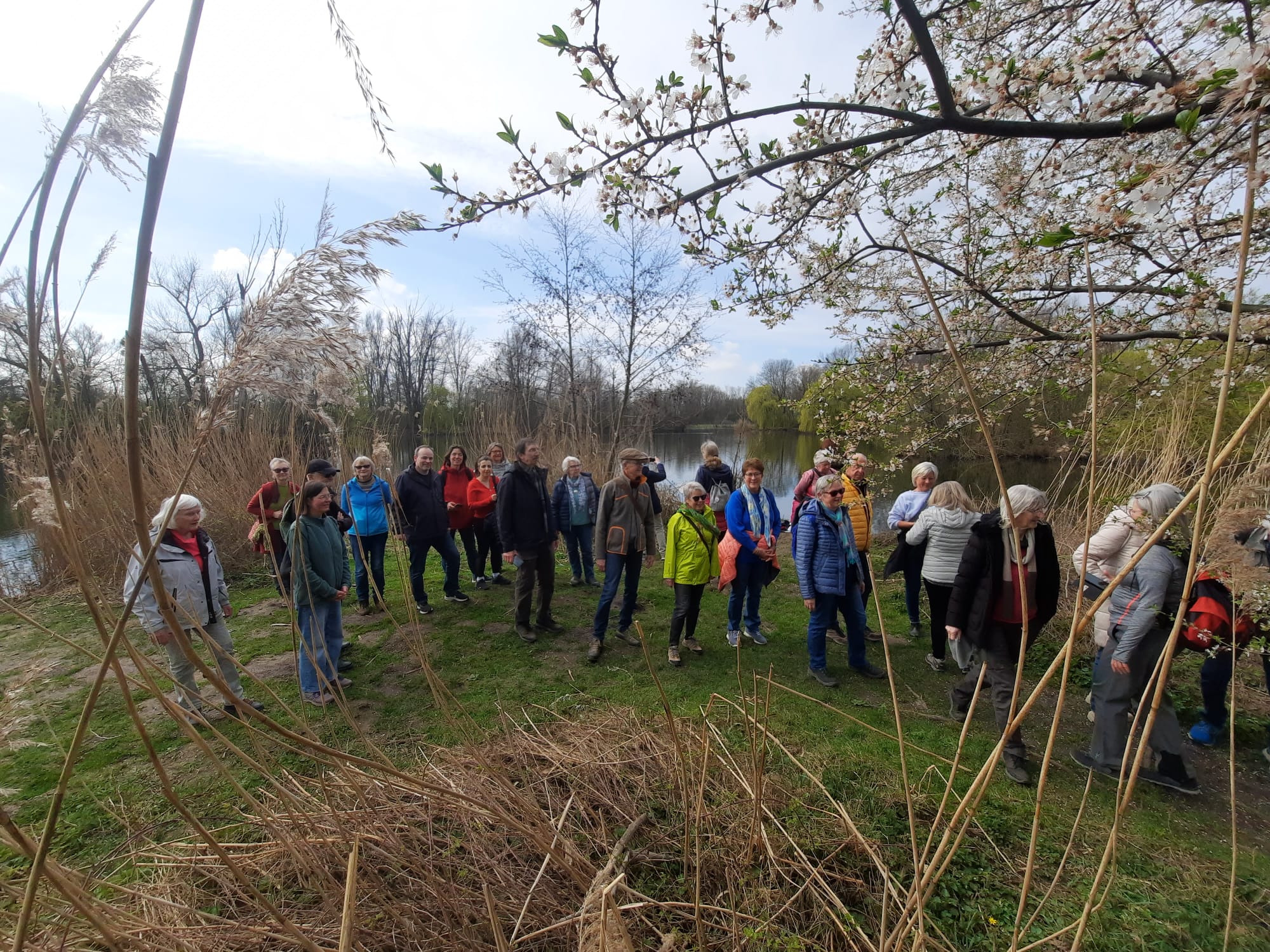Halbinsel im Wülfeler Teich